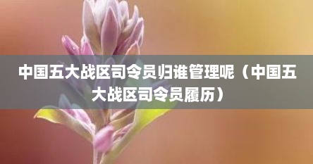 中国五大战区司令员归谁管理呢（中国五大战区司令员履历）