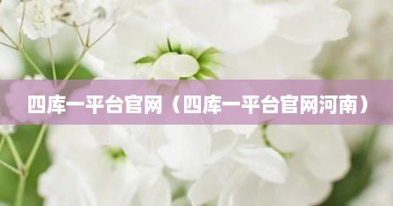 四库一平台官网（四库一平台官网河南）