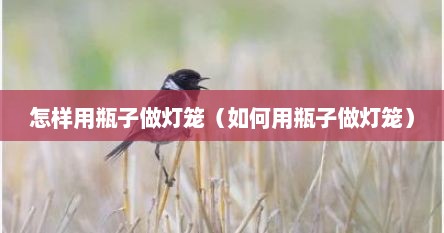 怎样用瓶子做灯笼（如何用瓶子做灯笼）