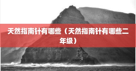 天然指南针有哪些（天然指南针有哪些二年级）