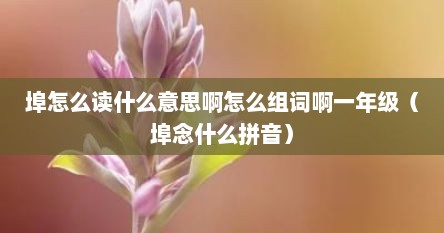 埠怎么读什么意思啊怎么组词啊一年级（埠念什么拼音）