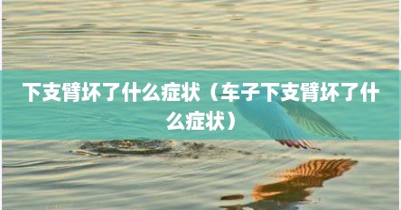 下支臂坏了什么症状（车子下支臂坏了什么症状）