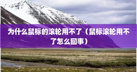 为什么鼠标的滚轮用不了（鼠标滚轮用不了怎么回事）