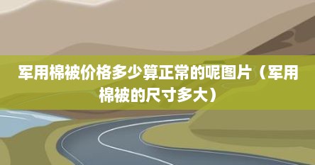 军用棉被价格多少算正常的呢图片（军用棉被的尺寸多大）