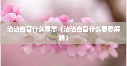 沾沾自喜什么意思（沾沾自喜什么意思解释）