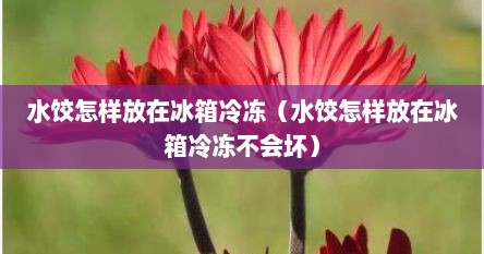 水饺怎样放在冰箱冷冻（水饺怎样放在冰箱冷冻不会坏）