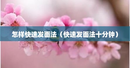 怎样快速发面法（快速发面法十分钟）
