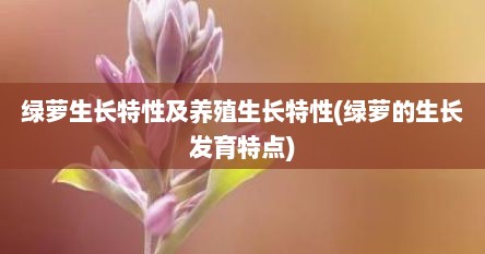 绿萝生长特性及养殖生长特性(绿萝的生长发育特点)