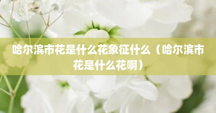 哈尔滨市花是什么花象征什么（哈尔滨市花是什么花啊）