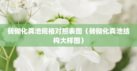 砖砌化粪池规格对照表图（砖砌化粪池结构大样图）