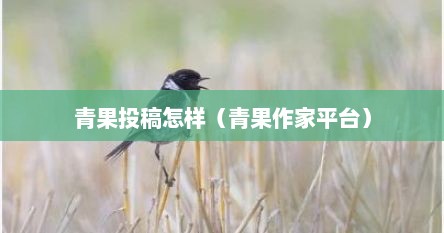 青果写作还行吗（青果收稿）