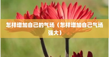 怎样增加自己的气场（怎样增加自己气场强大）