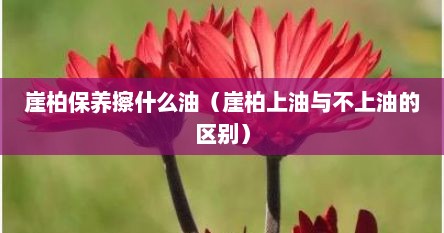 崖柏保养擦什么油（崖柏上油与不上油的区别）