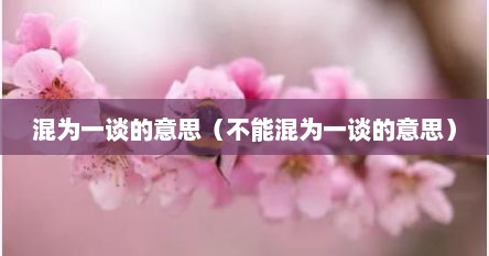 混为一谈的意思（不能混为一谈的意思）