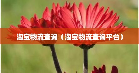 淘宝购物查询物流（淘宝查询物流在哪儿）