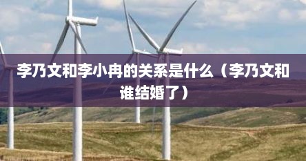 李乃文和李小冉的关系是什么（李乃文和谁结婚了）