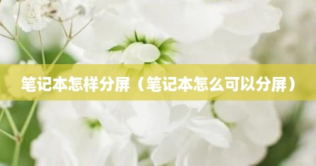笔记本怎样分屏（笔记本怎么可以分屏）