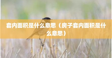 套内面积是什么意思（房子套内面积是什么意思）