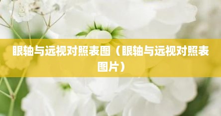 眼轴与远视对照表图（眼轴与远视对照表图片）