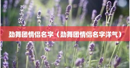 劲舞团情侣名字(劲舞团情侣名字洋气) 劲舞团情侣名字(劲舞团情侣名字洋气)