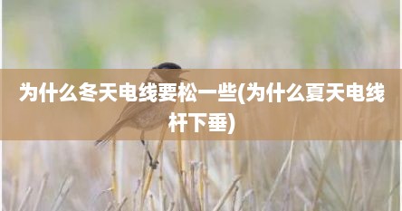 为什么冬天电线要松一些(为什么夏天电线杆下垂)