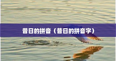 昔日的拼音（昔日的拼音字）