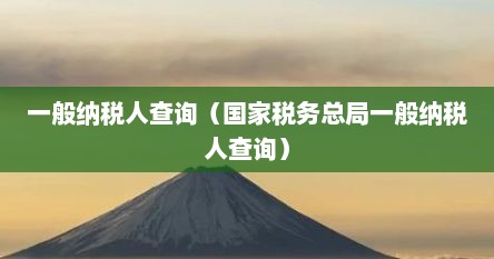 一般纳税人查询（国家税务总局一般纳税人查询）