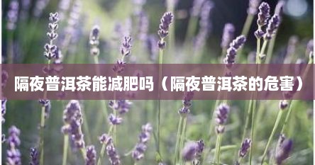 隔夜普洱茶能减肥吗（隔夜普洱茶的危害）