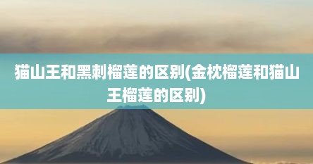 猫山王和黑刺榴莲的区别(金枕榴莲和猫山王榴莲的区别)