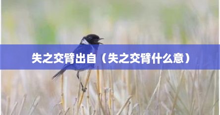 失之交臂出自（失之交臂什么意）