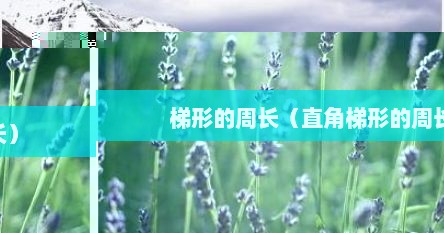梯形的周长（直角梯形的周长）