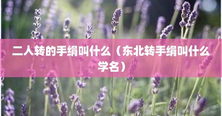 二人转的手绢叫什么（东北转手绢叫什么学名）