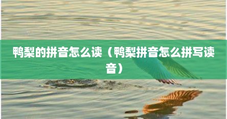 鸭梨的拼音怎么读（鸭梨拼音怎么拼写读音）