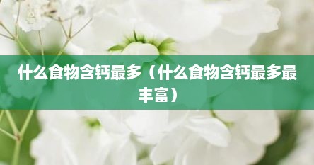 什么食物含钙最多（什么食物含钙最多最丰富）