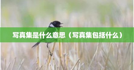 写真集是什么意思（写真集包括什么）
