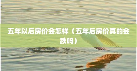 五年以后房价会怎样（五年后房价真的会跌吗）