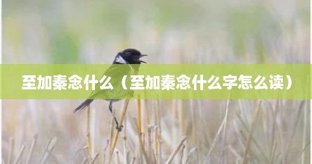 至加秦合起来什么字（至字旁加一个秦念啥）