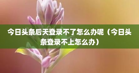 今日头条后天登录不了怎么办呢（今日头条登录不上怎么办）