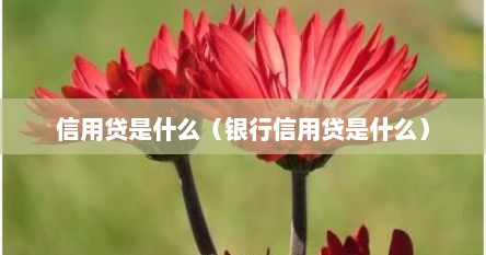 信用贷是什么（银行信用贷是什么）