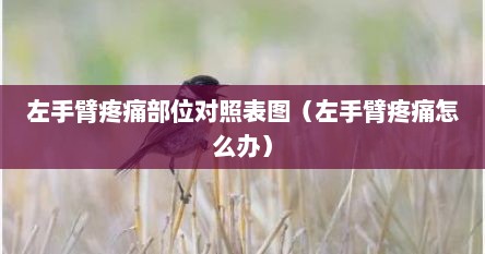 左手臂疼痛部位对照表图（左手臂疼痛怎么办）