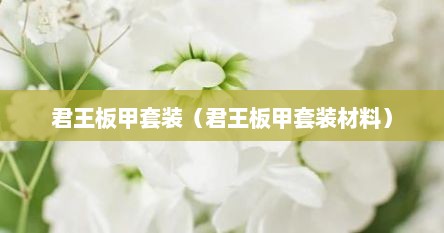 君王板甲套装（君王板甲套装材料）