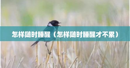 怎样随时睡醒（怎样随时睡醒才不累）