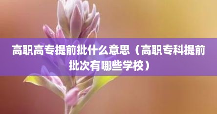 高职高专提前批什么意思（高职专科提前批次有哪些学校）