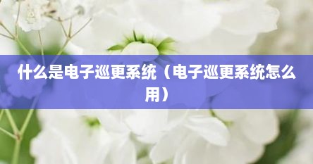什么是电子巡更系统（电子巡更系统怎么用）