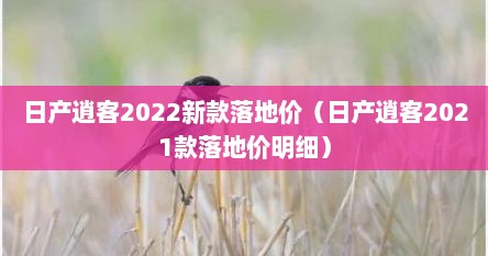 日产逍客2022新款落地价（日产逍客2021款落地价明细）