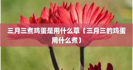 三月三煮鸡蛋是用什么草（三月三的鸡蛋用什么煮）