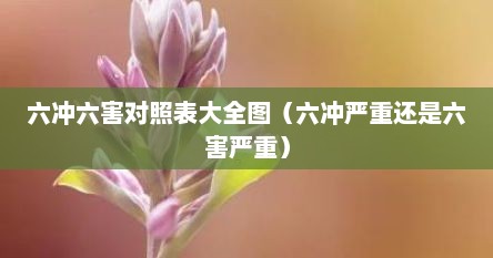 六冲六害对照表大全图（六冲严重还是六害严重）