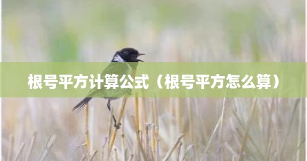 根号平方计算公式（根号平方怎么算）