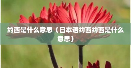 约西是什么意思（日本语约西约西是什么意思）