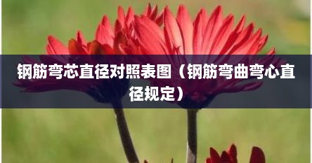 钢筋弯芯直径对照表图（钢筋弯曲弯心直径规定）